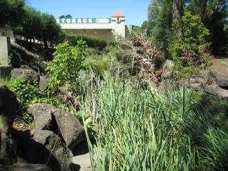 showing the debris caught in the bushes, and therefore how high the flow must have been