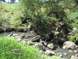 showing clothing washed high into the bushes