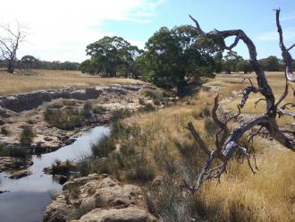 Looking downstream from bridge TEA 030