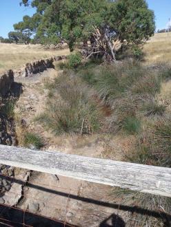 Looking upstream from the bridge TEA 030