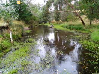 Low flow rate during the peak of Summer, Riddells Creek at the Spillway.