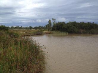 Lake next to the bird hide