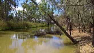 Upstream