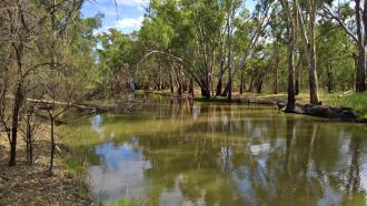 Downstream