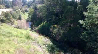 View north from the road bridge.