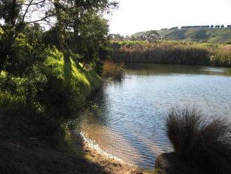 General view- see earlier data