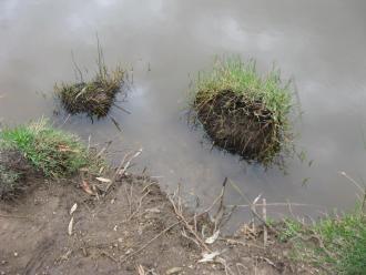 recent erosion