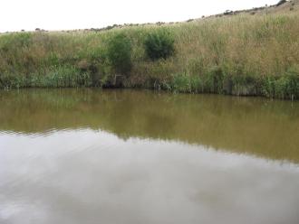 Opposite bank