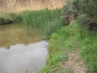 Downstream