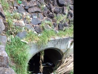 Photo on side!  Rubbish was up the dam wall and in front of the tunnel, after heavy rain.  These 3 photos should have appeared with data for 19-2-2017.