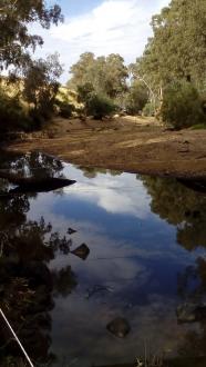 Upstream - see white electric fence. Is ringlock fence furtehr upstream also across stream