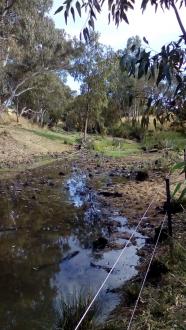 Sample point, but also note electric fencing for stock watering point