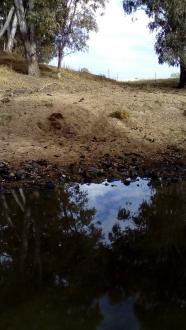 Cattle track and fencing down from paddock to direct stock to creek to drink