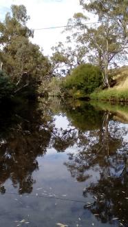 SUG010 looking Upstream