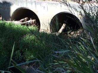 Logs blocking two of the tunnels.