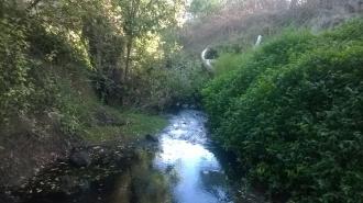 View south from under bridge