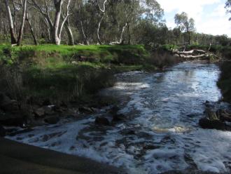 looking downstream