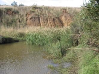 water over bank
