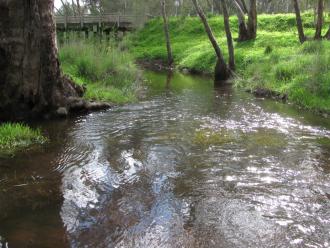 photo was taken at the sample point looking downstream