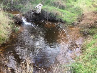 Monument Creek on left flowing, Garden Hut creek on right just trickle