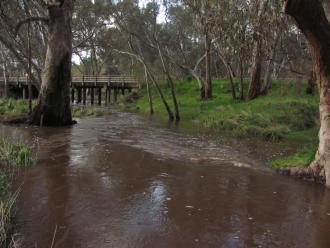 photo taken looking downstream; slightly different photopoint because of the high water level