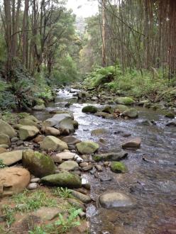 upstream