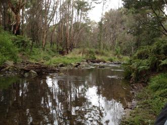 Downstream