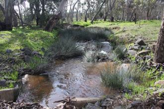 View downstream