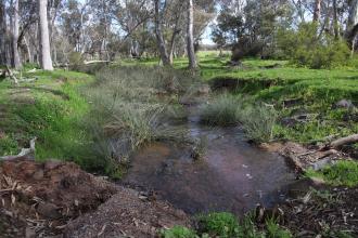 View upstream