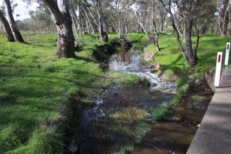 Downstream view