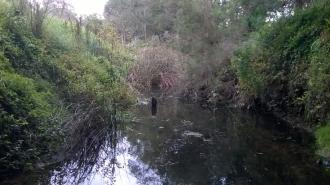 North view under bridge