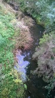 View south from bridge