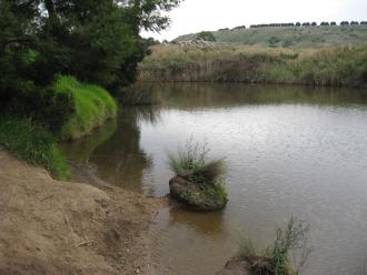 Upstream
