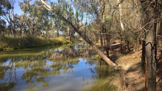 Upstream