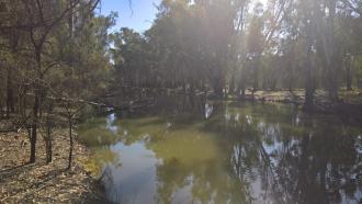 Downstream