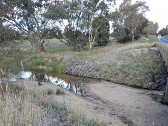 photo taken looking across stream