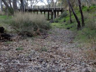 photo taken looking downstream