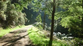 Frontage Rd into the Falls Reserve, sunny day after fog.