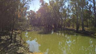 Down Stream