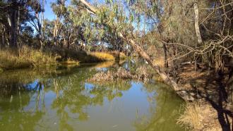 Upstream