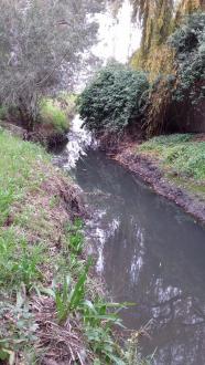 Stony Creek, MSO660, upstream 22/6/2017