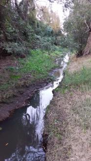 Stony Creek, MSO660, downstream