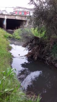 Stony Creek, MSO670, upstream