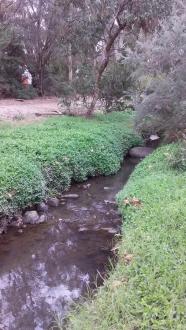 Stony Creek, MSO670 downstream