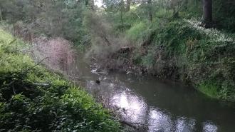 View northwards from under the bridge