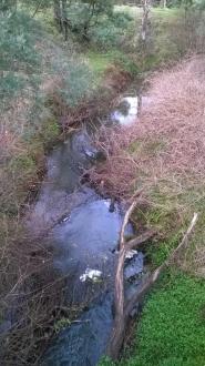 View south from the bridge