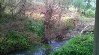 View southwards from under the bridge