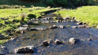 Downstream