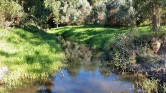Upstream