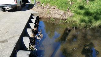 Across stream